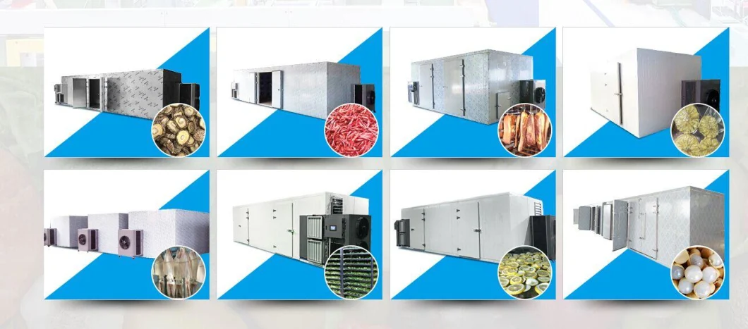 Guangzhou Supplier Fruit Vegetable Food Dryer Mango Drying Machine Mosquito Coil Mushroom Mulberry Meat Nut Noodle Pineapple Agriculture Food Fish Dryer Machine