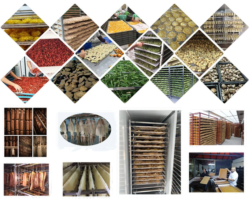 Guangzhou Supplier Fruit Vegetable Food Dryer Mango Drying Machine Mosquito Coil Mushroom Mulberry Meat Nut Noodle Pineapple Agriculture Food Fish Dryer Machine