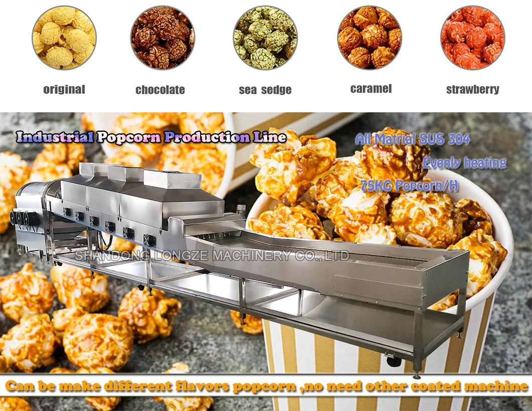 300kg/H Pop Corn Processing Line Popcorn Production Line